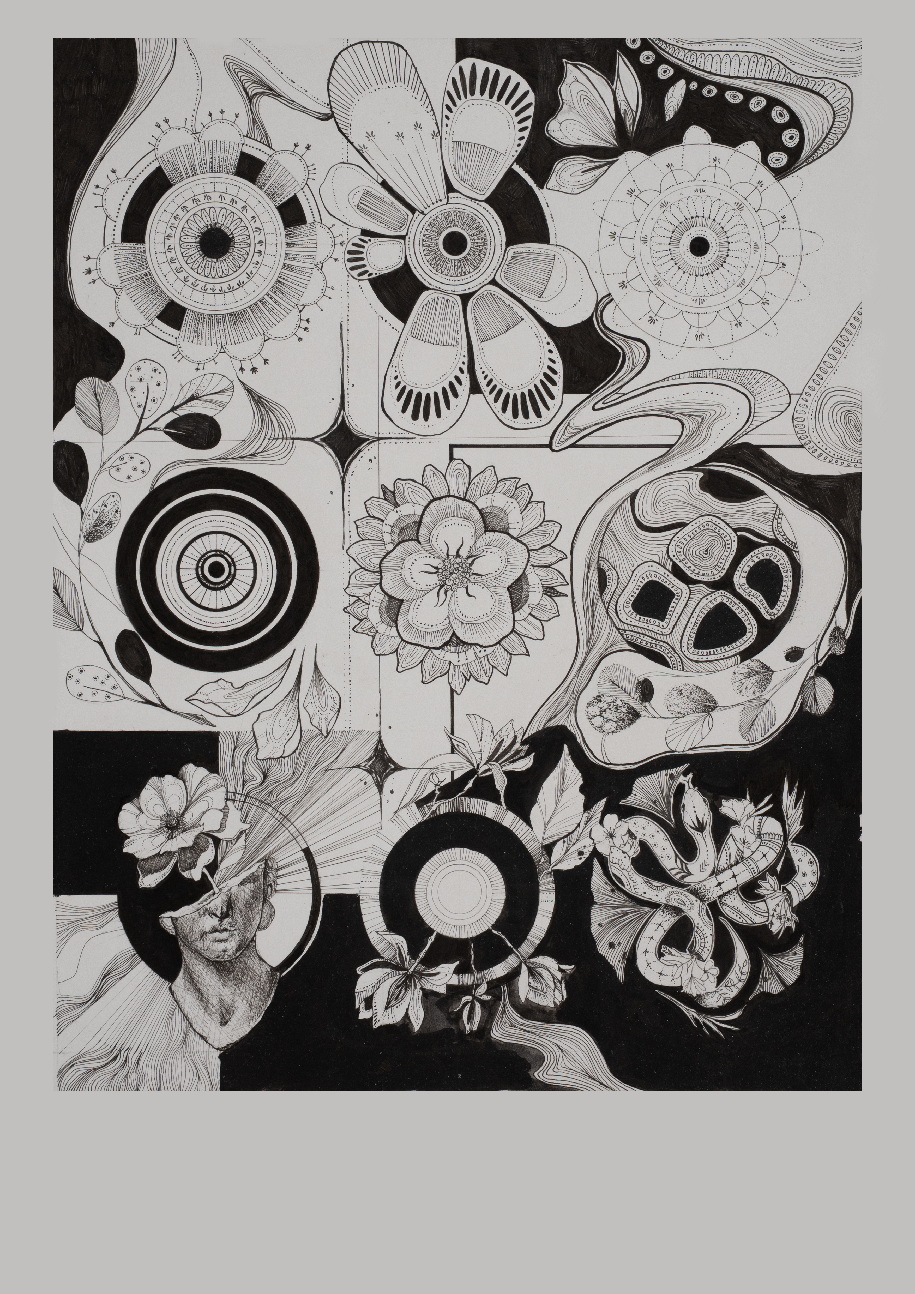 Botanical illustration — Jing's fine-line drawing style