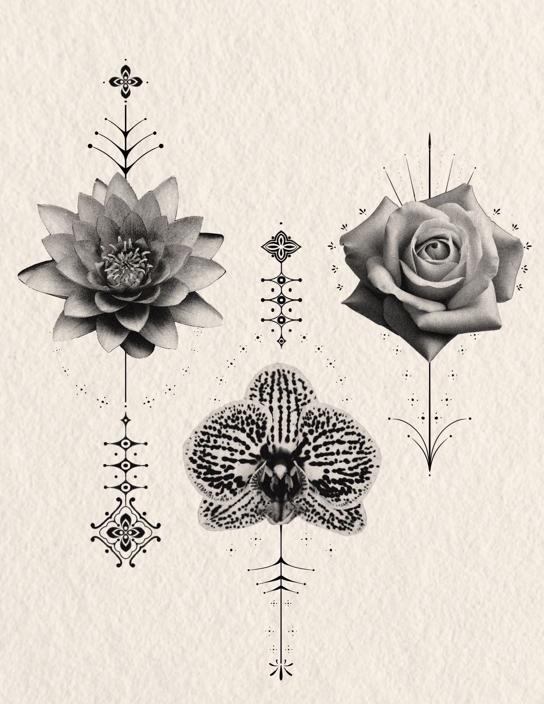 Ornamental Flash — Clean ornamental forms — available